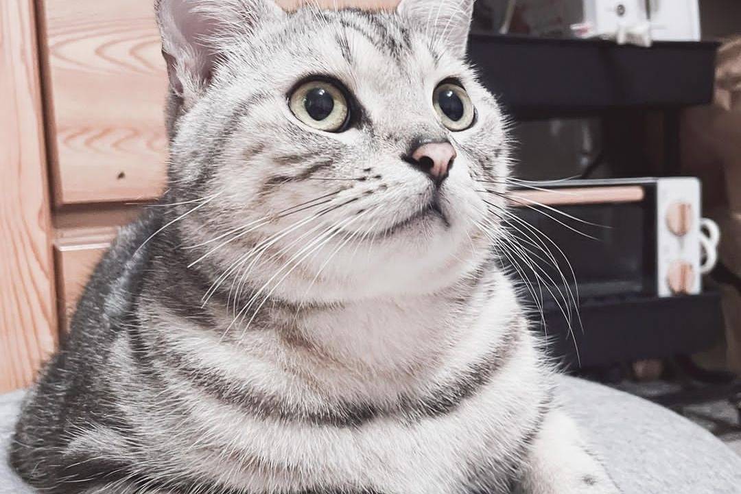 49660e849caf48dd81e138849d4455