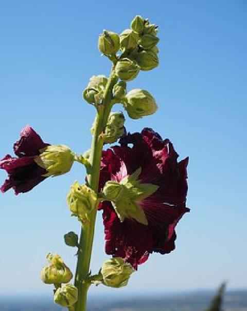 简短而深刻的情感句子，优美有内涵，每句话都描述着人生