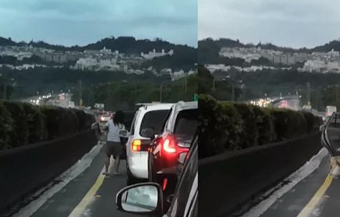 流浪狗误闯马路，好心人停车救狗狗，后面一排车静静等待获赞 