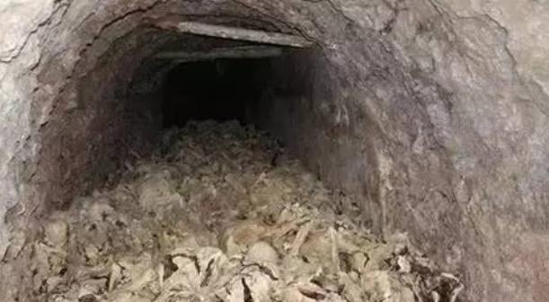 6万具尸骨的万人坑,死者还有10岁的孩童:铭记历史,勿忘国耻!