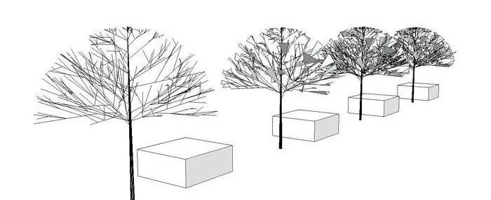 长不大的行道树