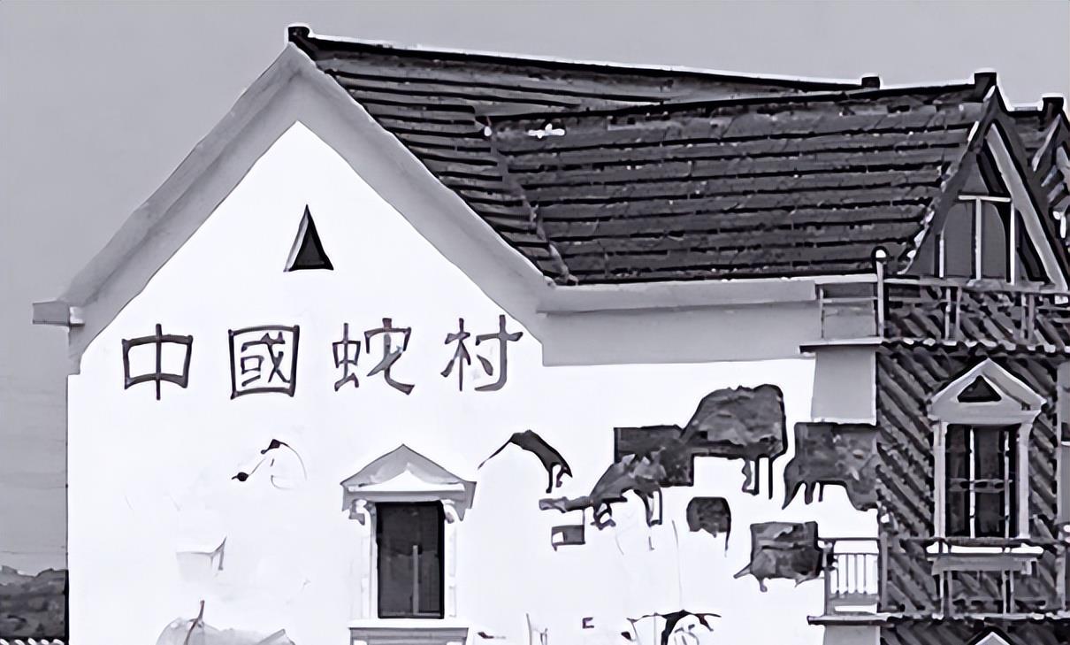 中国第一蛇村:全村人与300万条蛇共同生活,蛇王靠它年入千万_杨洪昌