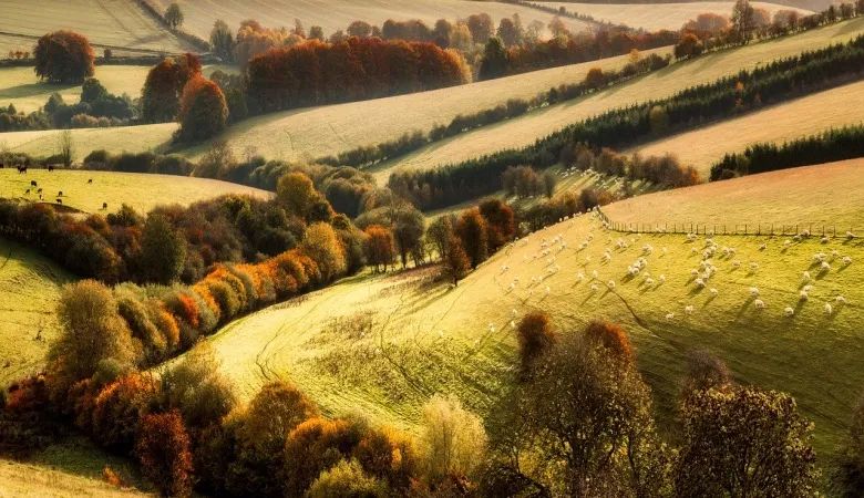 家电经销商洗牌:有人降价卖不动,有人不肯卖低端机-家电圈官网