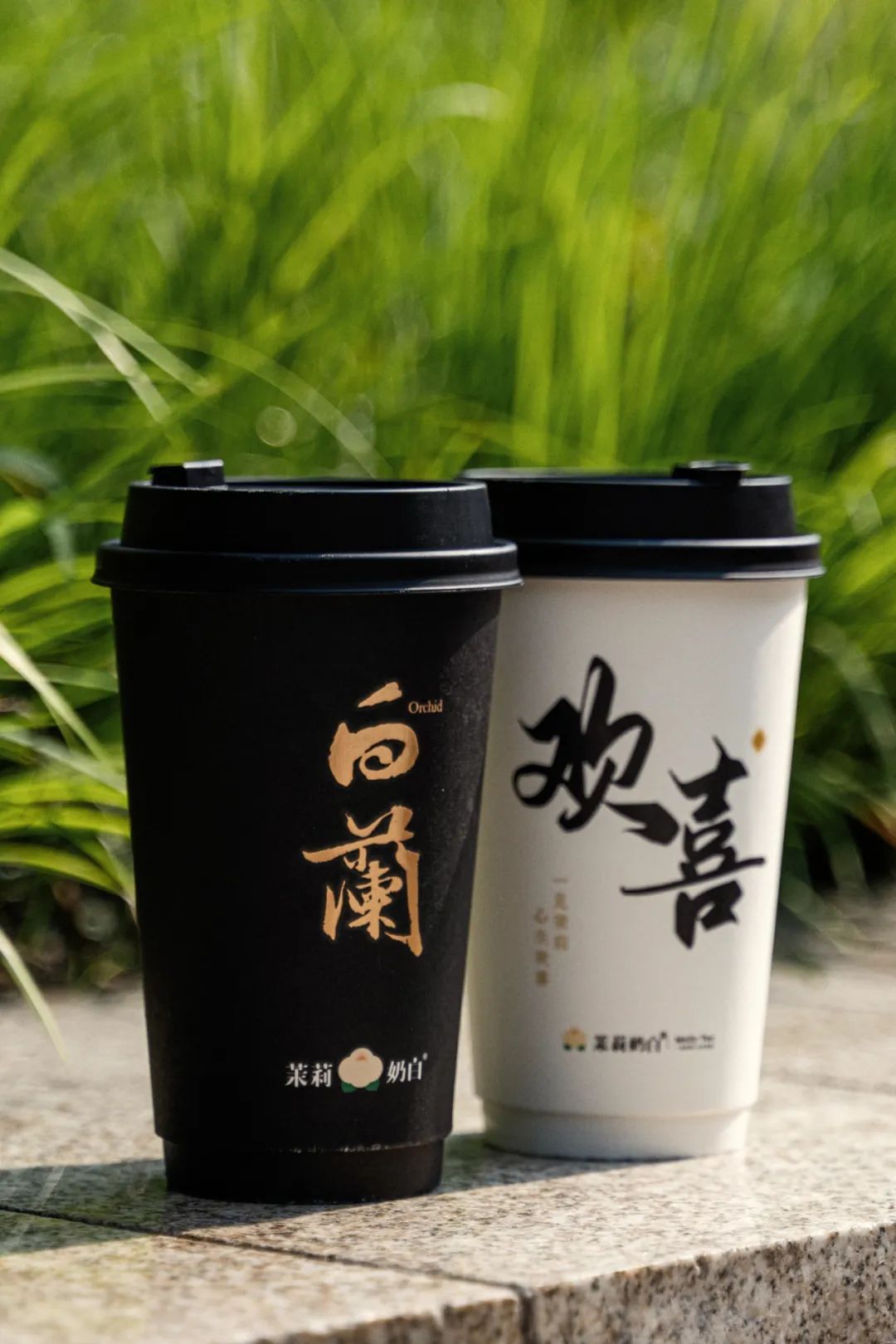 20城霸榜新中式茶饮品牌「茉莉奶白」,首度登陆成都!_东方_花香_牛奶