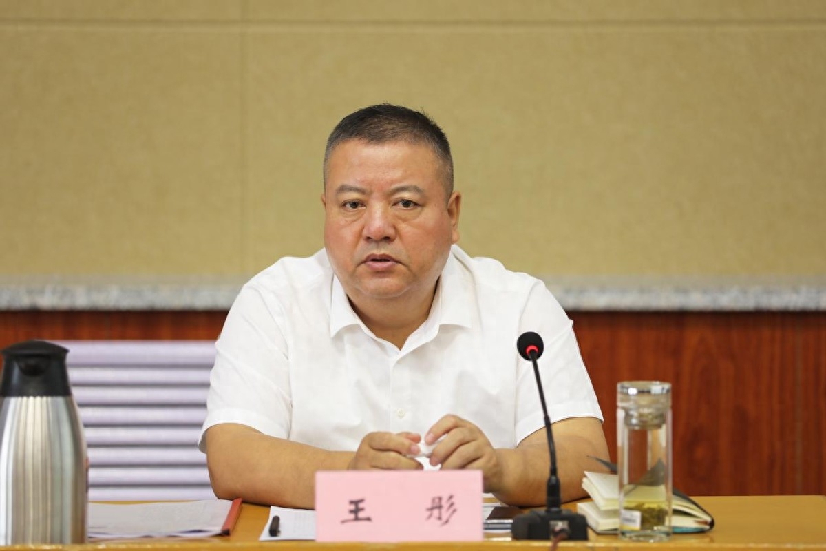 原平市召开卫片执法整改工作推进会_相关_王彤_常永峰