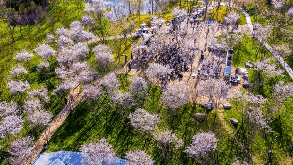 胶东旅游:日照白鹭湾艺游小镇_文化_艺术_自然环境