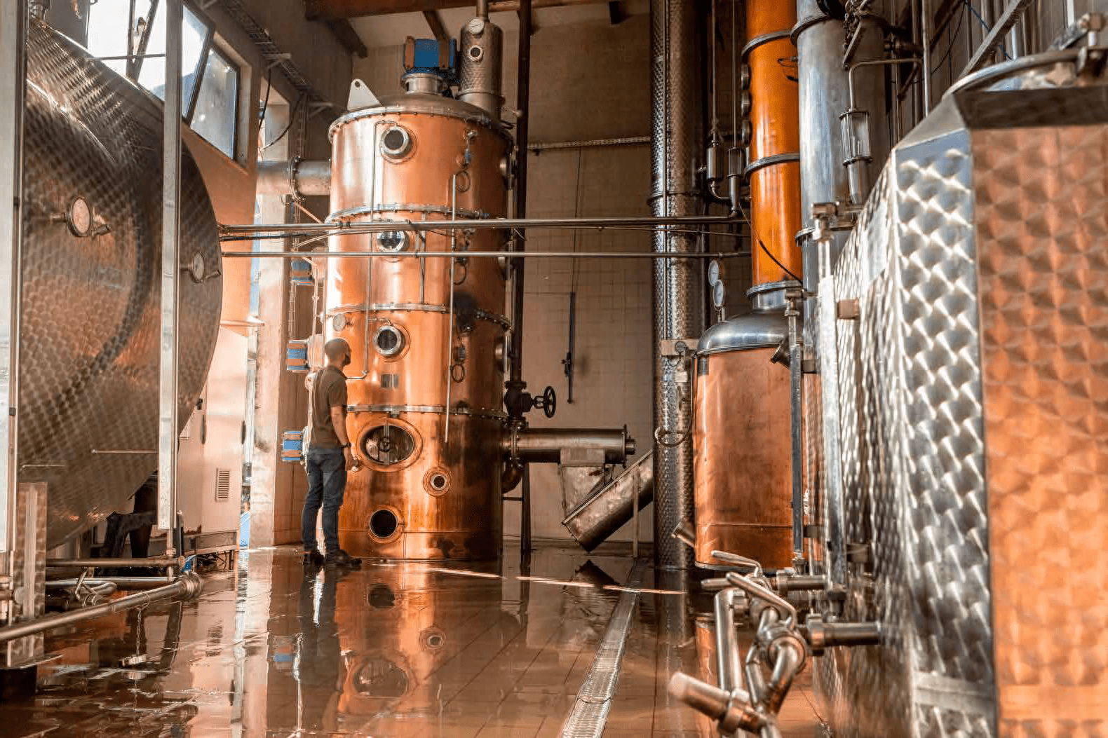 220万升葡萄酒爆罐引红酒洪流,酒厂赔了酒还要治环境_维拉_酿酒厂