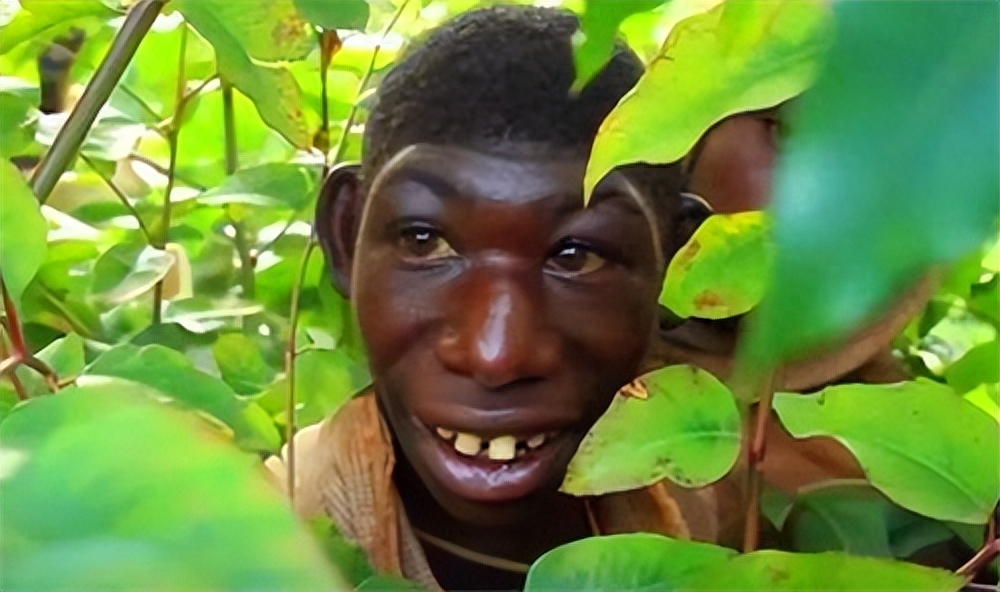 专家检测结果揭示:曾繁胜的猴娃之谜最终如何_研究_人类_科学界