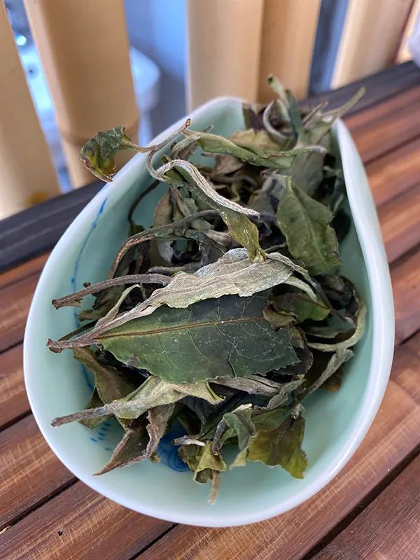 最银南 | 贵族系列——曼松白茶_王子山_普洱_自然