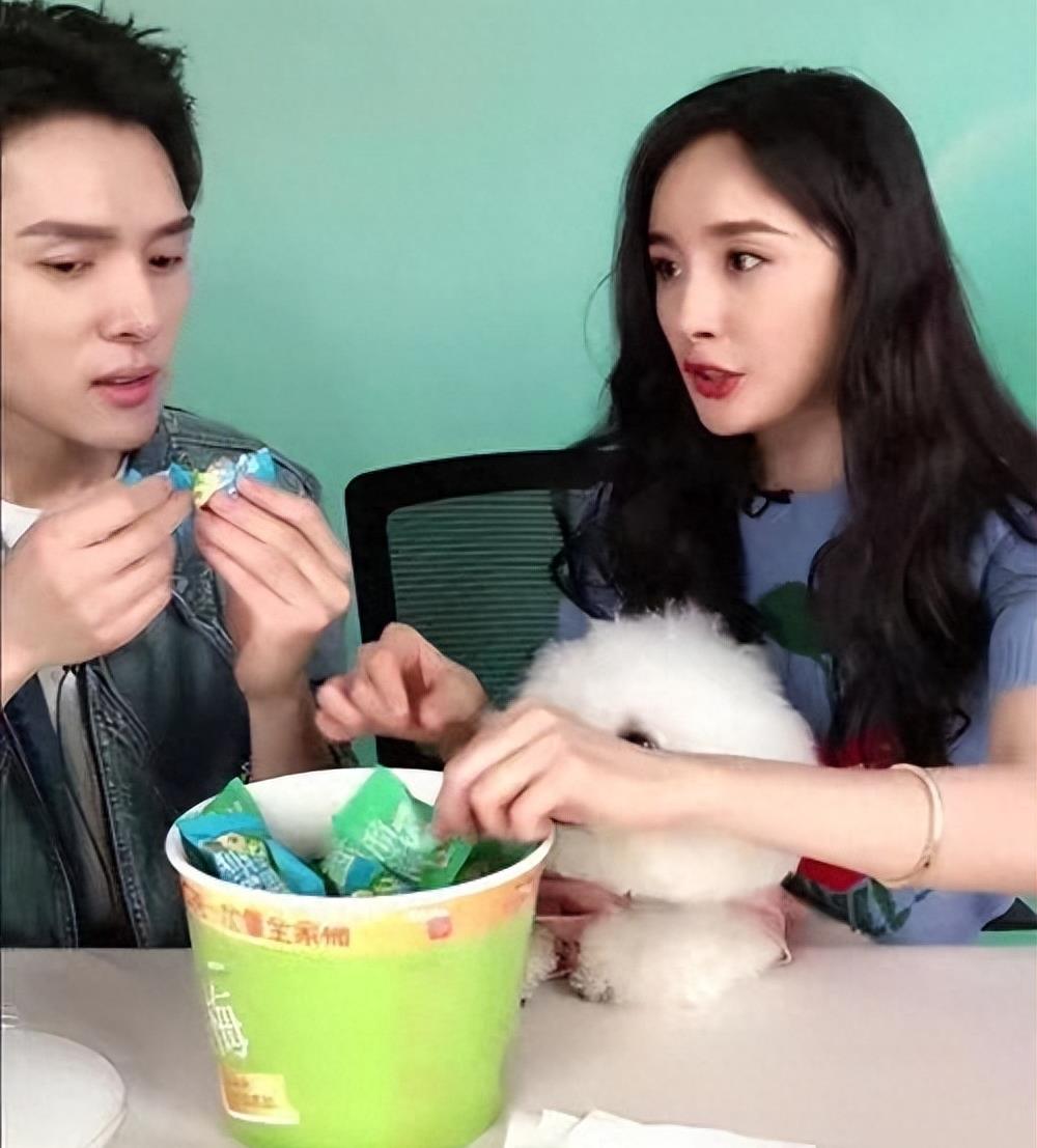 连做3次危机公关,网友依旧不买账,李佳琦该何去何从?