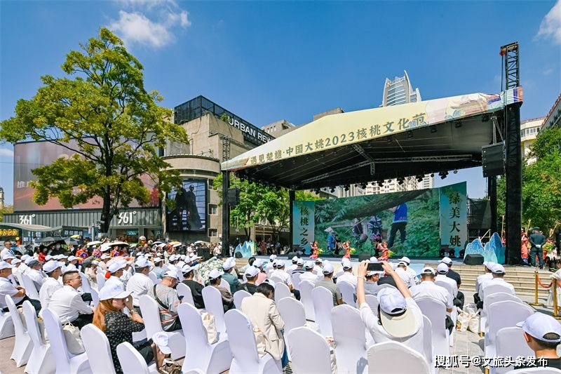 中共大姚县委副书记,县人民政府县长杨军作现场推介.