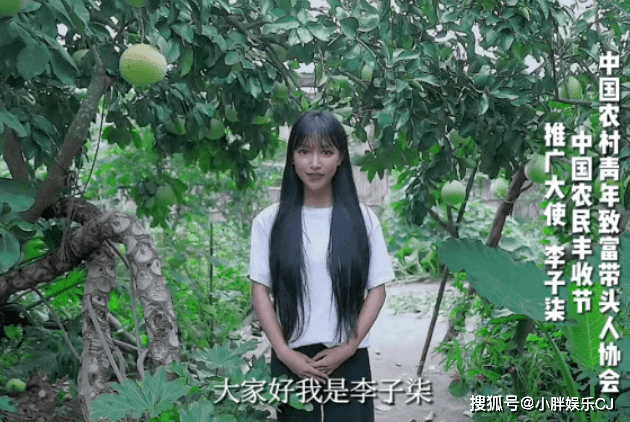 李子柒官宣复出?