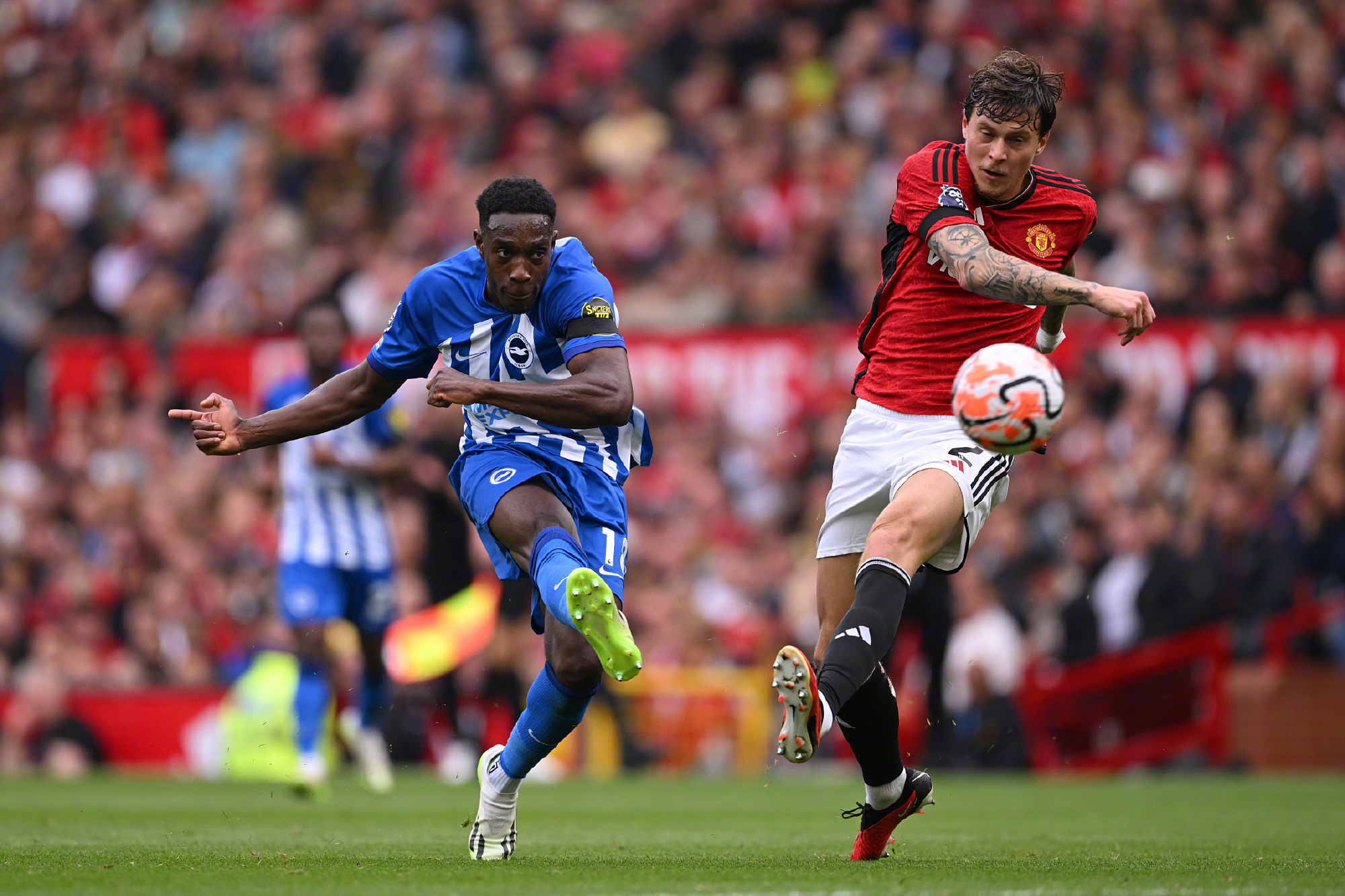 单后腰失败,亮点有2个_布莱顿_赛季_球迷