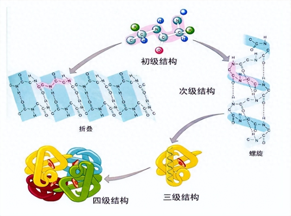 生物富集示意图图片