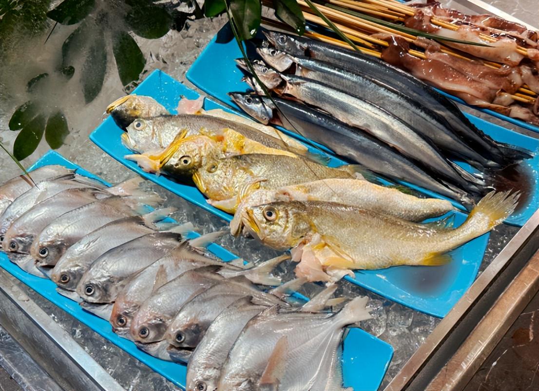美食汇全日餐厅上新 | 一起开启美味探索之旅_宁德_万达_度假村