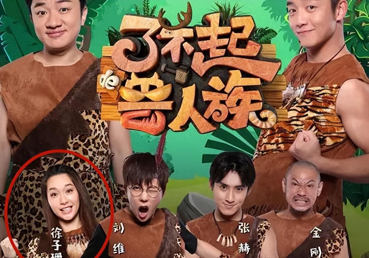 直到2018年年尾,徐子珊身上的影视资源仅有一部电视剧《守护神之保险