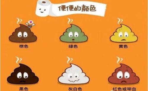 长沙红杏林老师:"便便"从形状到颜色,隐藏的健康信息_大便_食物_肠道