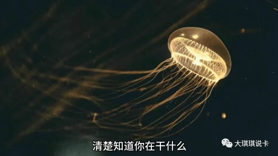 聚合支付代理商_聚合支付收款码代理_聚合支付代理加盟