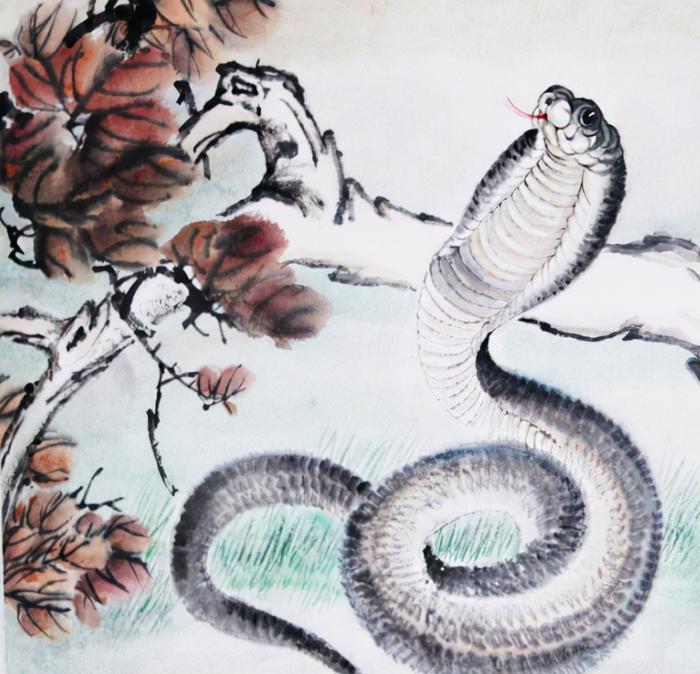 天舞纪