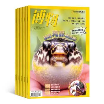 小学阅读启蒙重要性_小学1-6年级必读书单_适合四年级孩子看的课外书