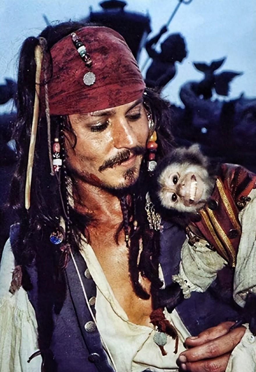 电影《加勒比海盗》中,独立自由的追求,勇气与牺牲精神_冒险_杰克·