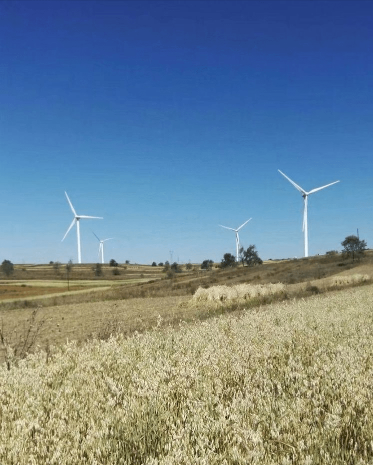 草原天路,塞外风情_青藏高原_电力_风车
