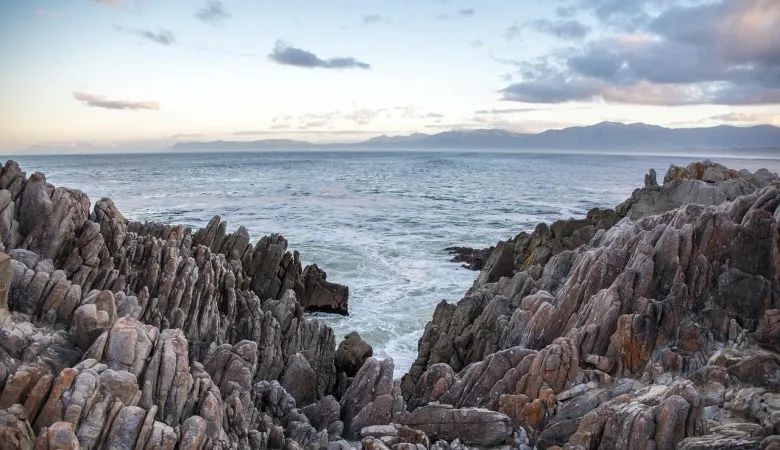 转型换道没有回头箭,家电厂商还得摸着石头过河-家电圈官网