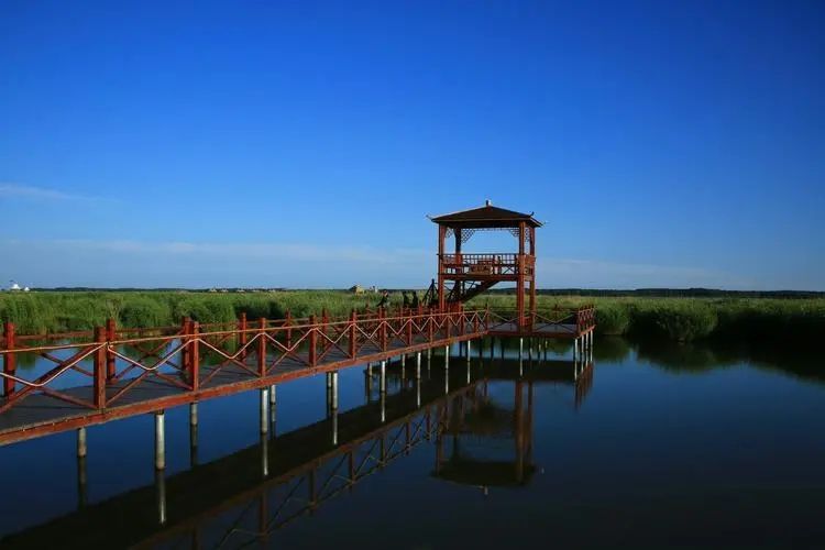 鸡西密山市"黑龙江人才周"校园引才活动招聘160人公告_岗位_人员_地址