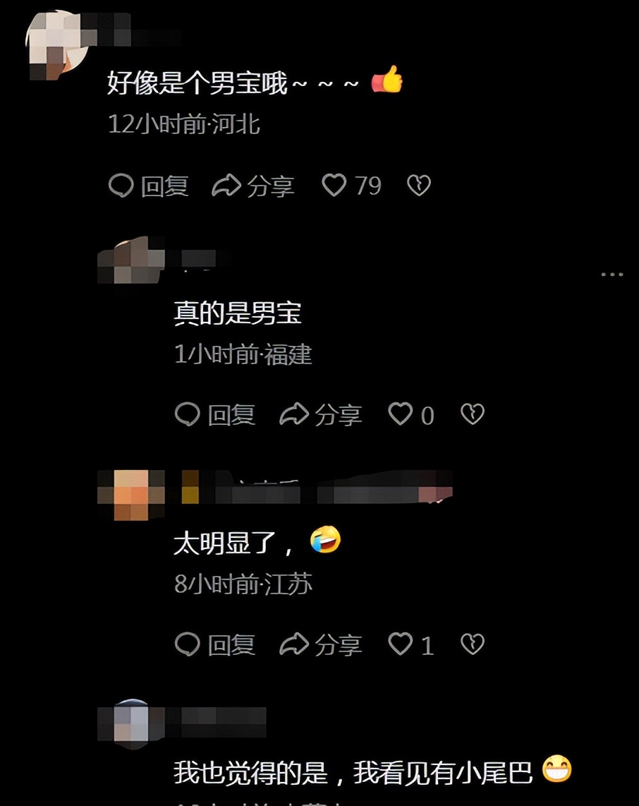 23周男宝B超图图片