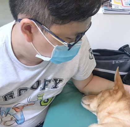 狗狗胃反转，吓得主人大哭，告诫广大宠主这样的错误不能犯！