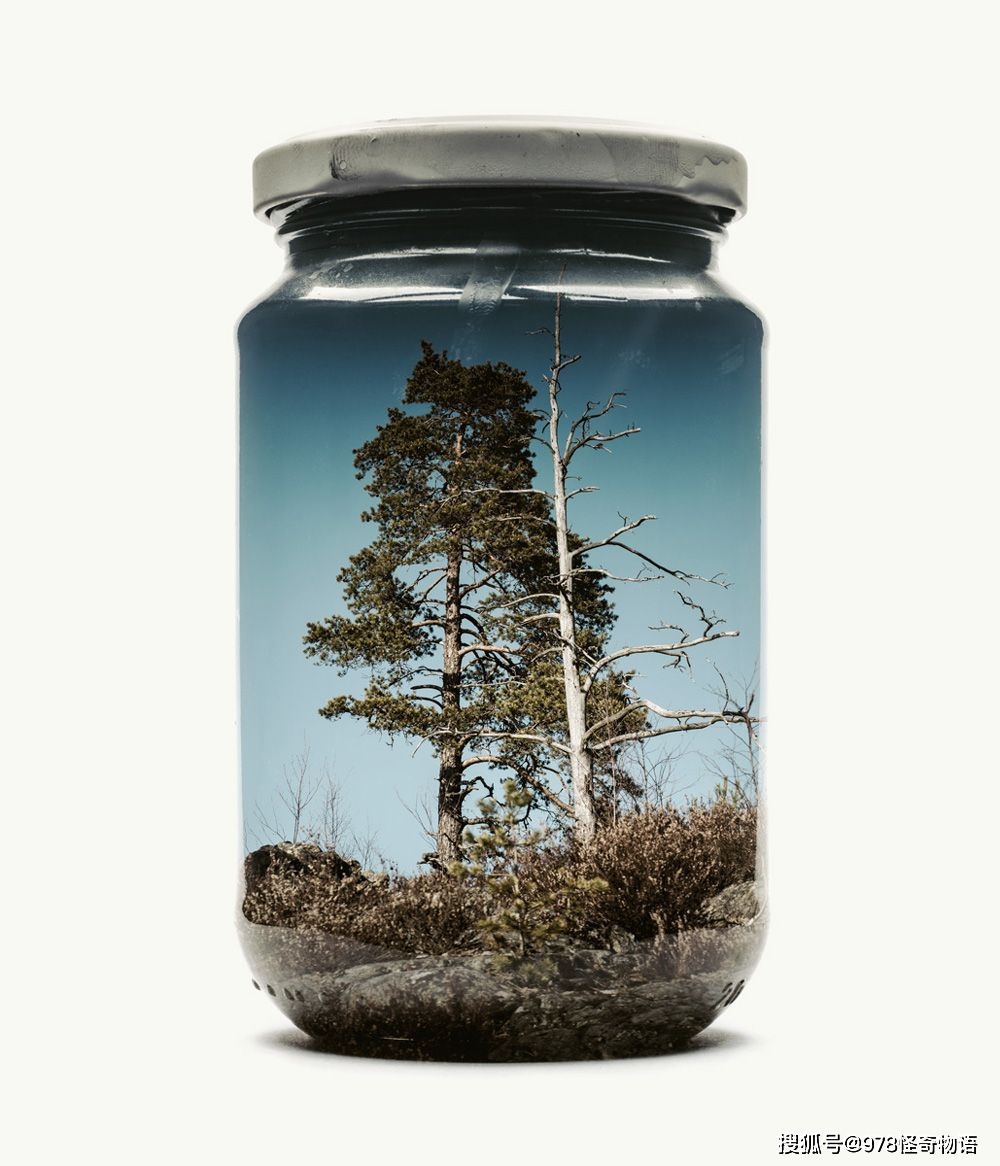 雷兰德:把照片装进罐头瓶,仍然是一位在照片中树林里玩耍的孩子_摄影