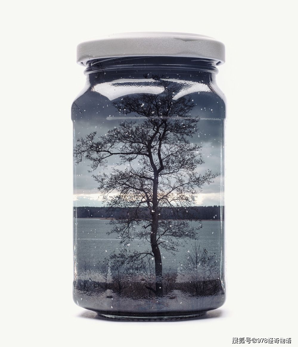 雷兰德:把照片装进罐头瓶,仍然是一位在照片中树林里玩耍的孩子_摄影