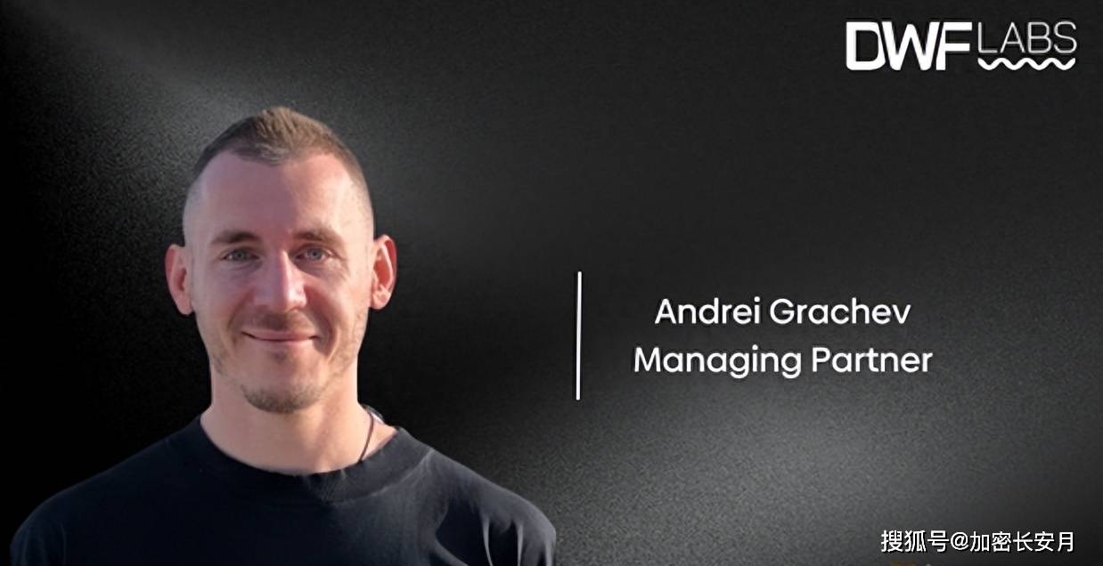 DWF Labs：加密货币做市商的黑马还是恶庄？_搜狐网