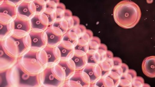 孕酮对怀孕作用大,"孕酮低"咋办?