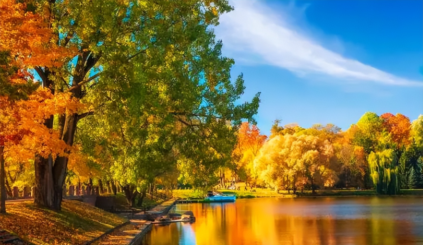 洞庭_年年_南浦