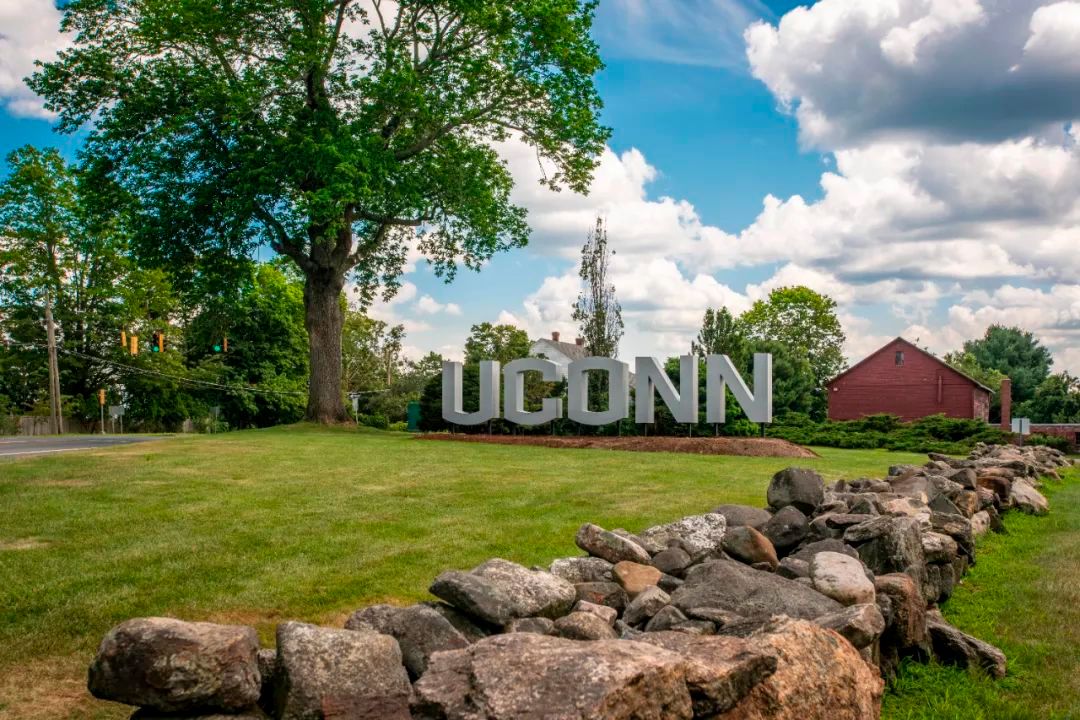 康涅狄格大学精算学专业:培养未来金融行业的精英