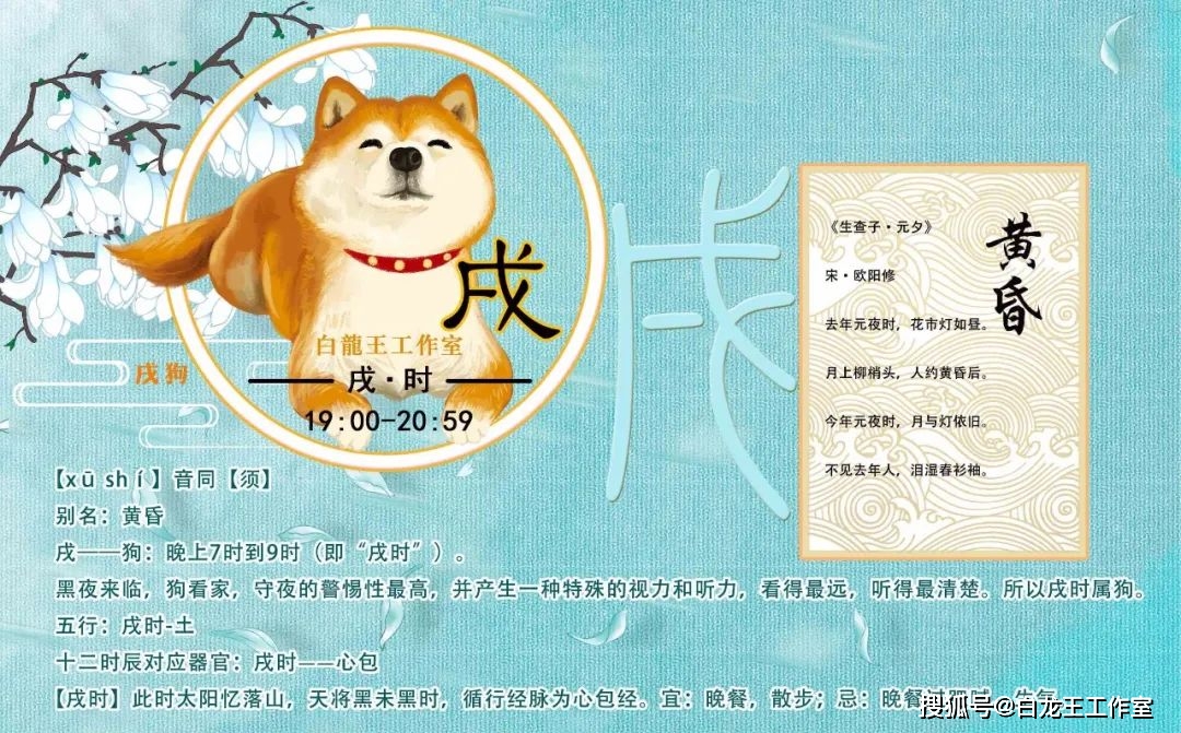 生肖狗