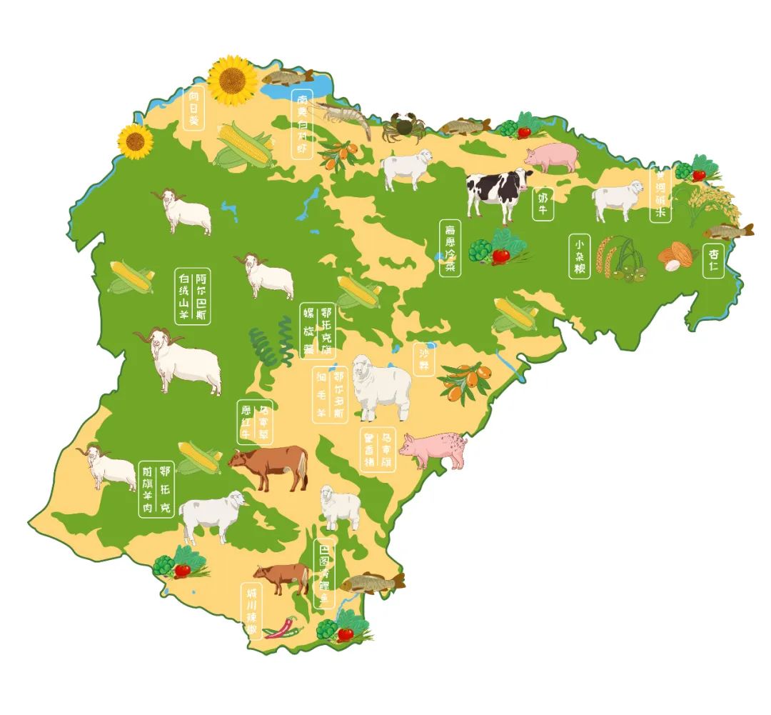 品牌辅助图形品牌辅助形象以鄂尔多斯地图为原型,将鄂尔多斯多样的
