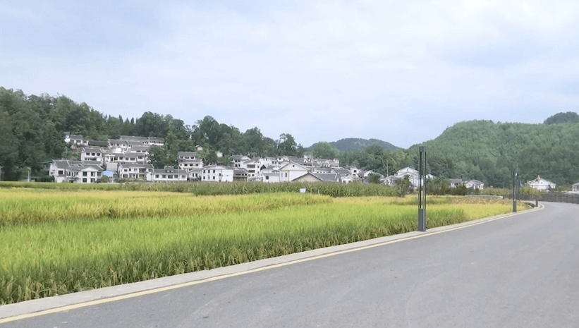 观山湖区百花湖镇:美丽乡村展新貌_环境_村民_人居