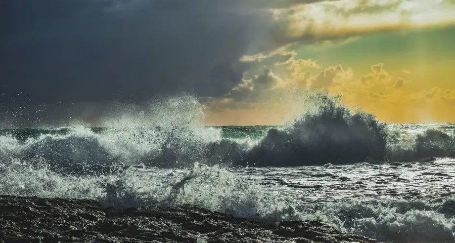 从下沉到线下的家电渠道商新野心-家电圈官网