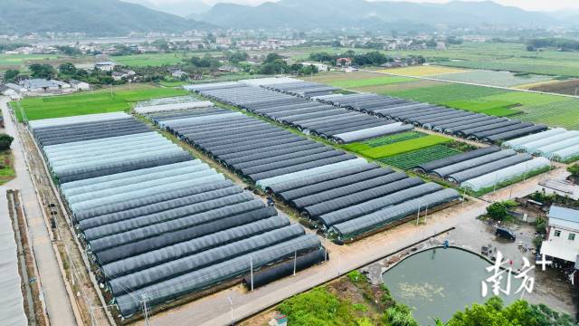 蕉岭打造梅州苏区融湾先行区综合示范窗口|县委书记打擂台·第三季