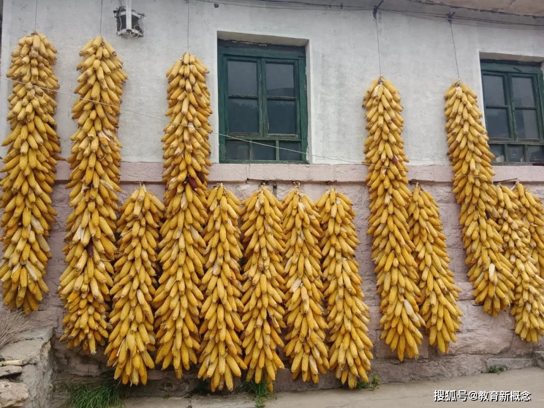 春种秋收,春华秋实,一年的辛勤耕耘,才换来金秋时节的硕果累累.