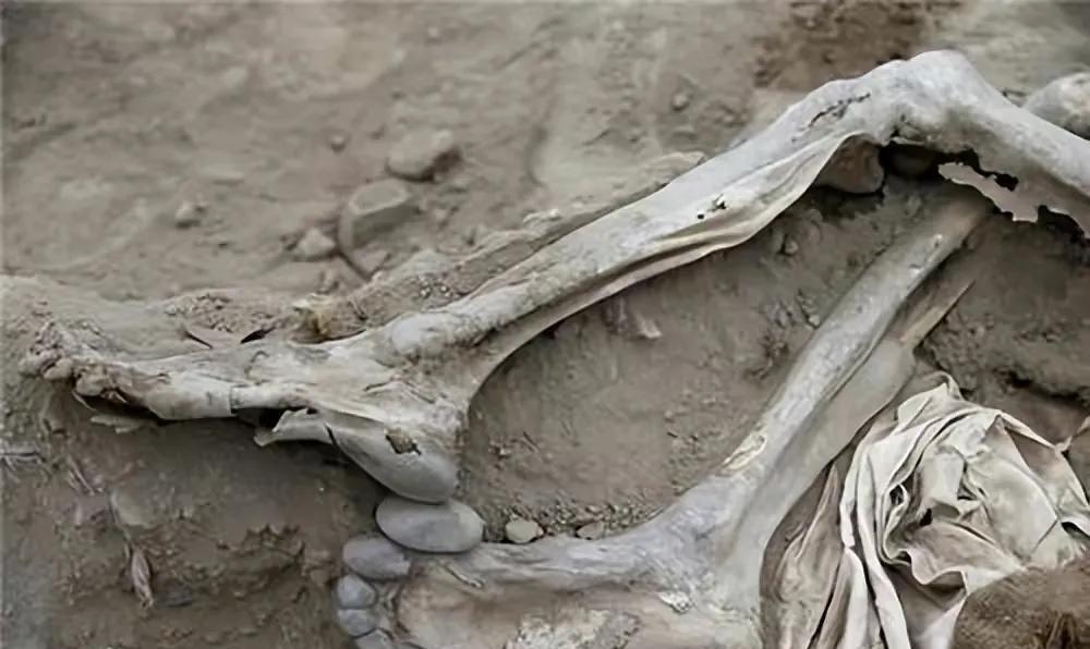 华工血泪史:中国近代史上极易被人遗忘的一段屈辱和伤痛_劳工_契约