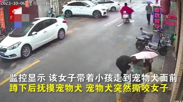 江苏盐城女子路边被宠物狗撕咬,脸部撕裂翻滚在地,双腿颤抖捂脸哀嚎