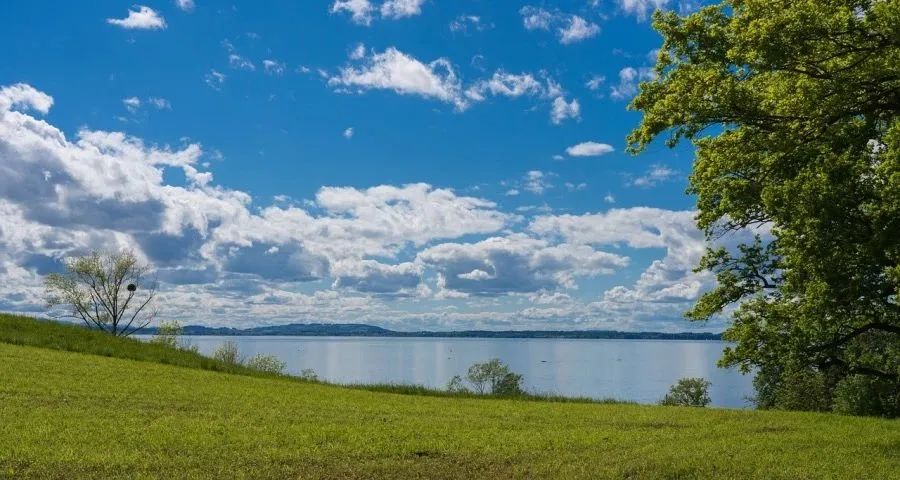 今年双11家电争夺战的主场将生变-家电圈官网