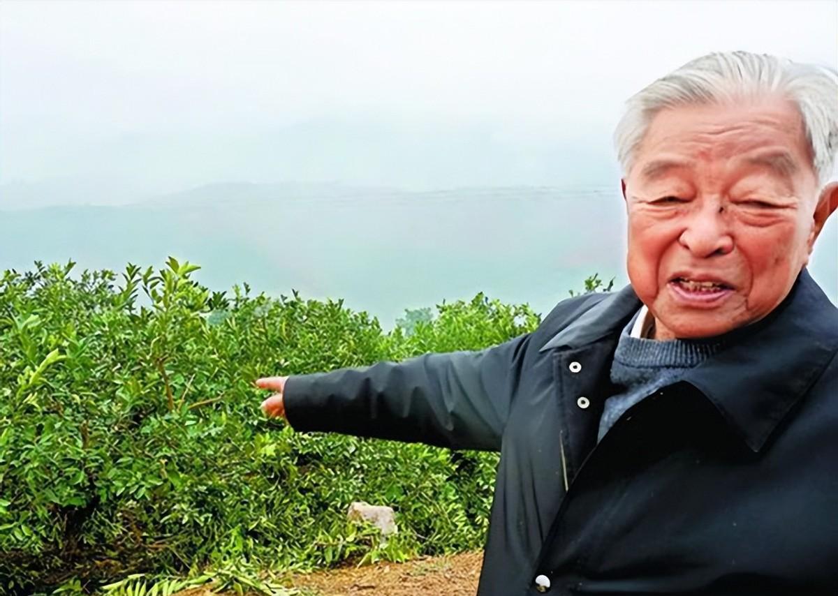 褚时健弟子邱建康出任烟厂厂长,再创辉煌,褚说:做事比我还认真_工作