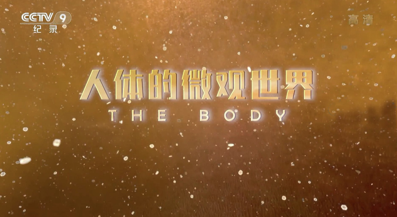 纪录片《人体的微观世界 the body》全8集 1080p高清纪录片资源_人们