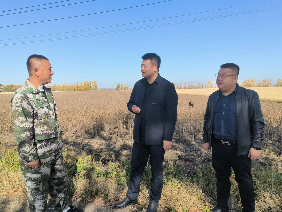 铁力农场纪委深入铁南管理区督导检查秋收各项工作_监督_秸秆_高程