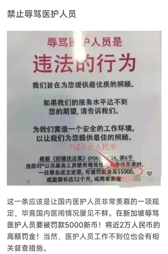 女网红在新加坡辱骂护士后续：或面临12个月监禁,女调查官身份存疑