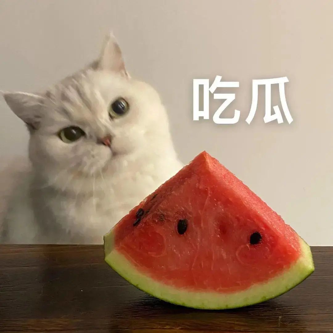 马苏穿深V红毯秀性感!曾与孔令辉同居11年,李小璐出轨门后口碑彻底崩塌!